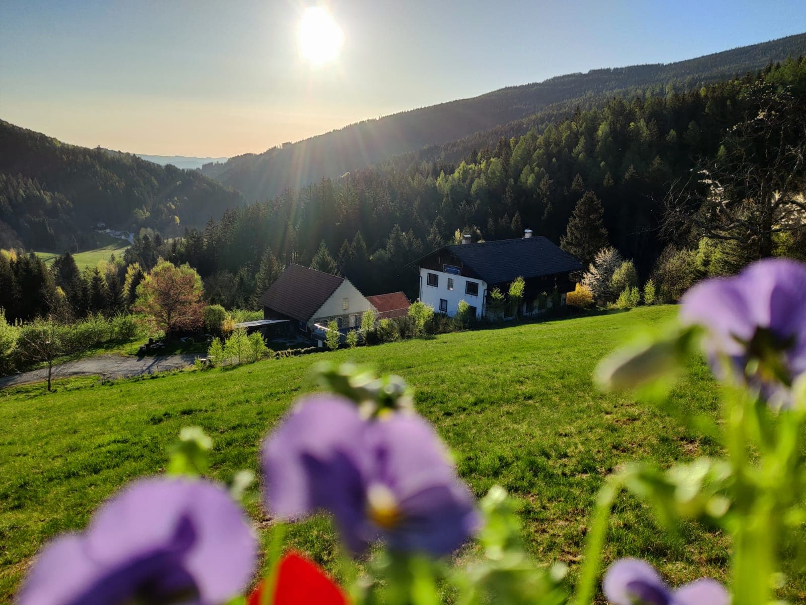 Dzogchen Retreat Center Europe in the mountains of Lower Austria